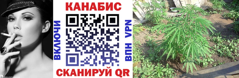 Бошки марихуана семена  Купить где  Заволжье 
